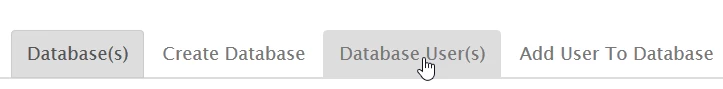 Databases User
