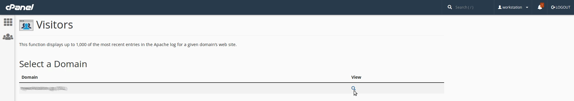 Controlla i visitatori sul dominio cPanel